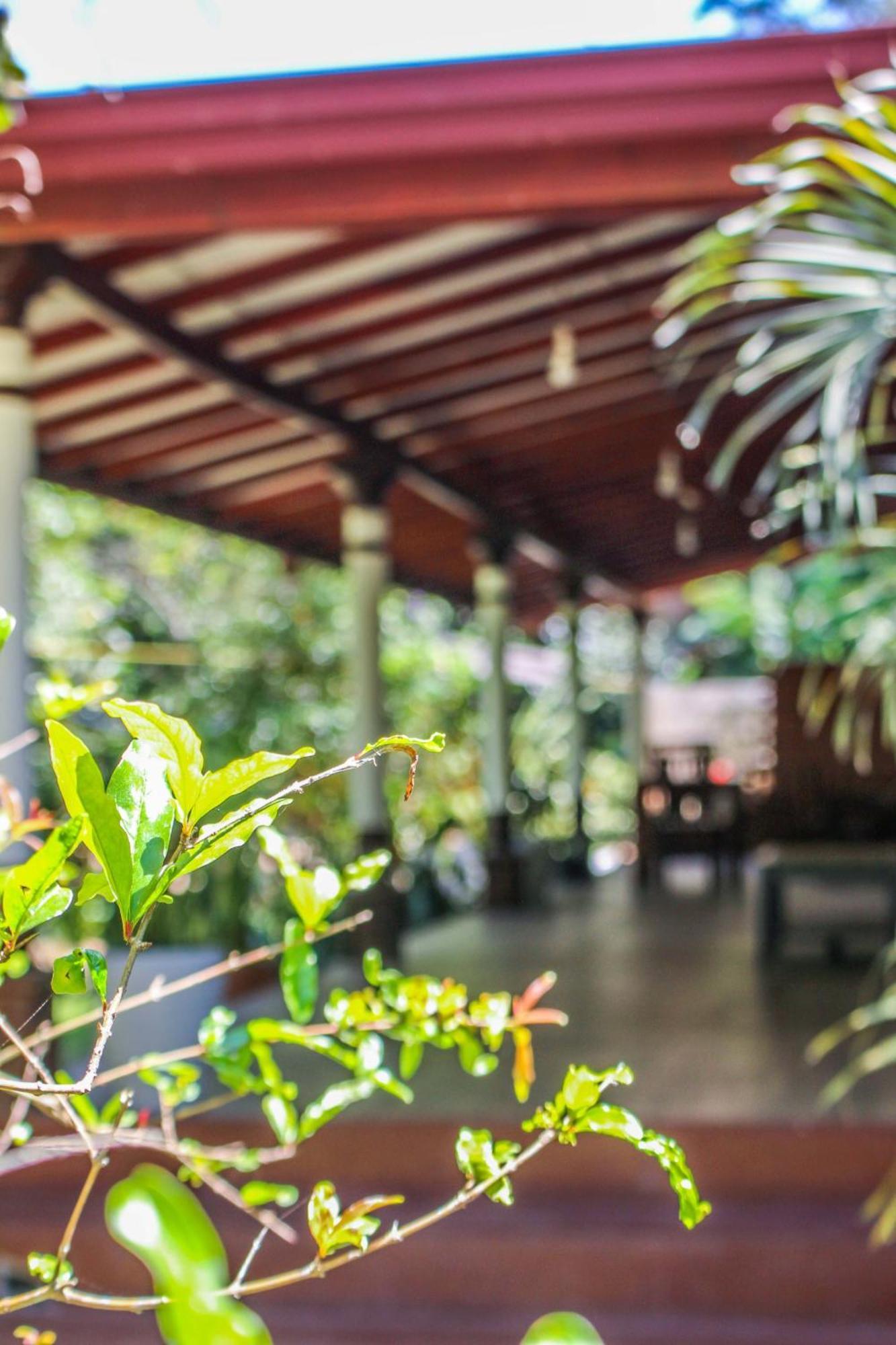 Lavender Homestay Ella Exterior foto